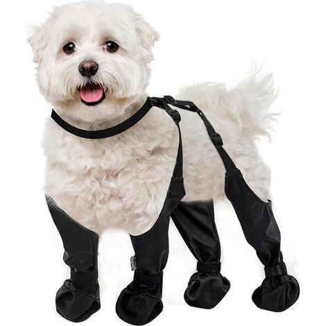 Bottes à sangle pour chien, antidérapantes, antichute, chaussures imperméables pour chien, guêtres, protections pour pattes pour la randonnée hivernale dans la neige et la pluie////.