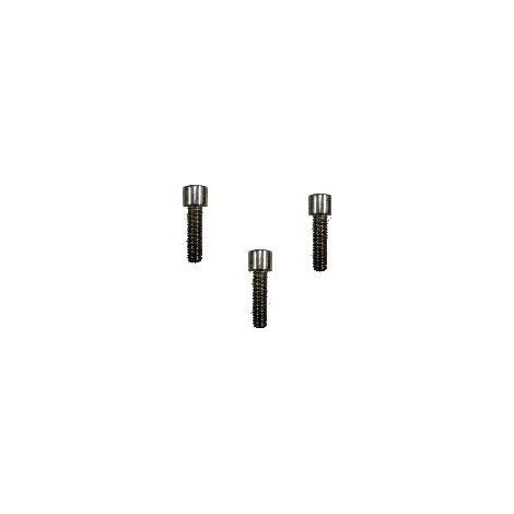 LOT DE 3 VIS BTR TR 30 X10 INOX COUVERCLE STRABUC FADINI