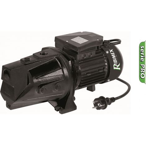 Pompe à eau de surface auto-amorçante 1800w - 4200 L/h - gamme pro -  RIBIMEX