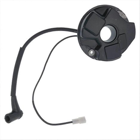 Bobine d'allumage 501831901 pour 265RX 165R 165RX 2100 2101 (1/5)