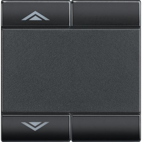 Manette Livinglight MyHOME BUS symbole montée/descente 2 modules anthracite BTICINO L4911M2AHN (1/2)
