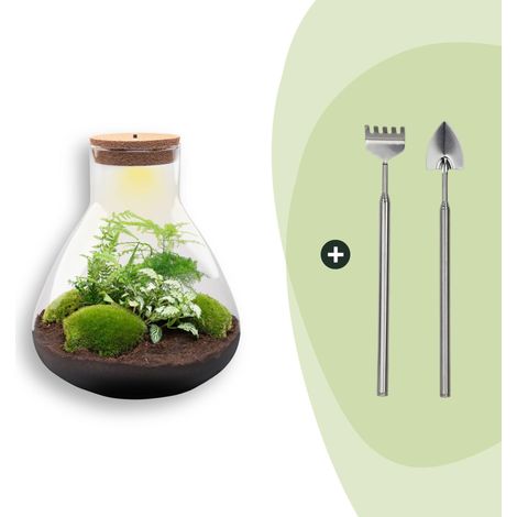 Kit Terrarium Plante DIY avec Lumière Sam XL Green Ø 30 x 35 cm Écosystème Autonome et Outils - PANGIVO