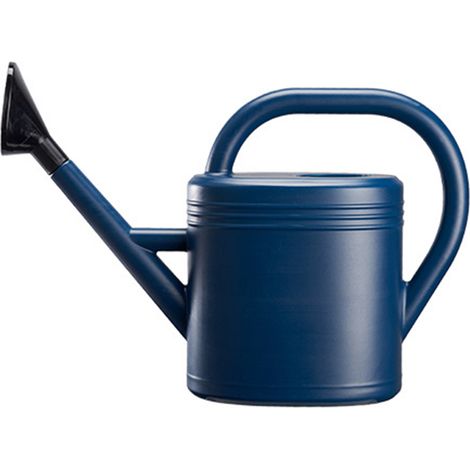 Annaffiatoio Toivize da 1 gallone - Beccuccio lungo - Plastica PP/PE - Blu - 40,5x29,5 cm - Giardino interno/esterno (1/5)
