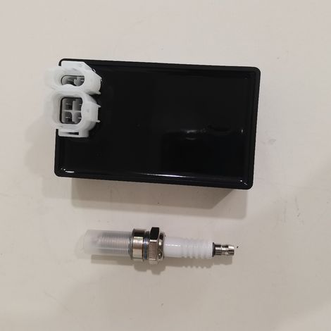 Allumage CDI + Bobine – Compatible HONDA TRX350 – ATV (1/4)