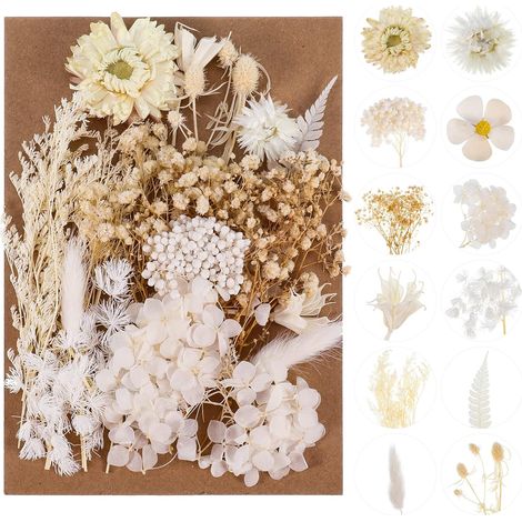 Bouquet de Fleurs Séchées Naturelles Vraies Fleurs Pressées (1/5)