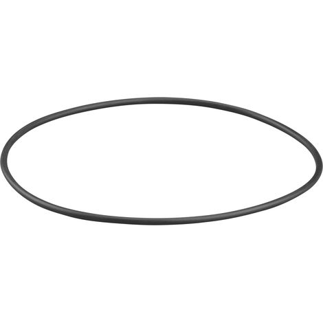 Rems O-Ring 060171
