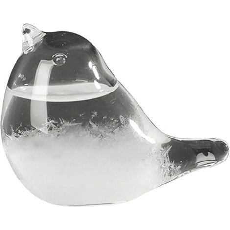 Verre tempête, goutte d'eau oiseau verre tempête pour prévisions météo Créative, station météo liquide baromètre décoratif Weather prédictor pour la maison de bureau cadeau