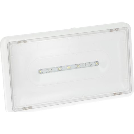 Luminaire d'évacuation pour source centrale IP43 IK07. alimentation 48 V DC à 230 V AC. (062915)