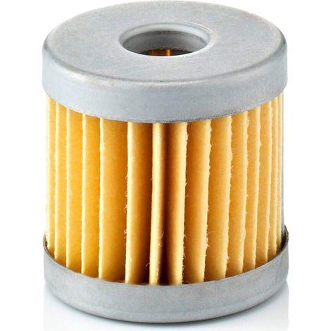 Filtre à air Mann Filter C31