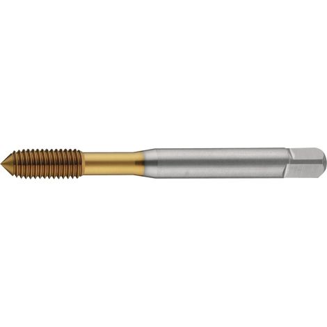 Macho  de  roscar  DIN  2174  (DIN  371)  M5  forma  C  HSS-Co  TiN  6HX  o.SN  TECWERK (1/2)