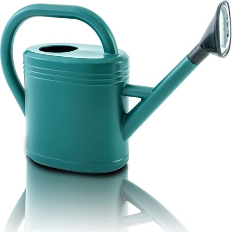Regadera con cabezal extraíble, de plástico resistente, capacidad de 3 litros, para plantas de interior y exterior. (1/5)
