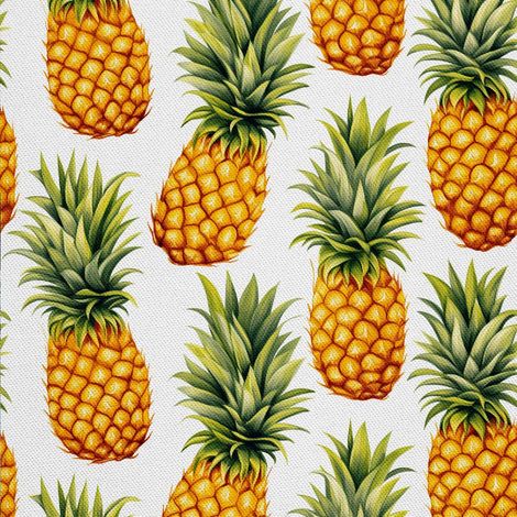 Tela decorativa para exteriores Oxford - Motivo frutal  DX6767 (1/5)