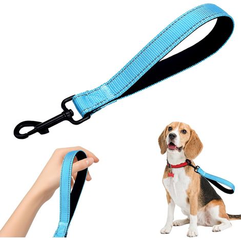 Blue Double Layer Woven Nylon Short Dog Leash with Zinc Alloy D-Carabiner, Comfortable Padded Handle, Safety Reflective Thread, Close Control for Walking (1/5)