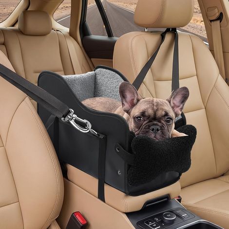 Siège pour petits chats, accessoire transport - pour chat (1/5)