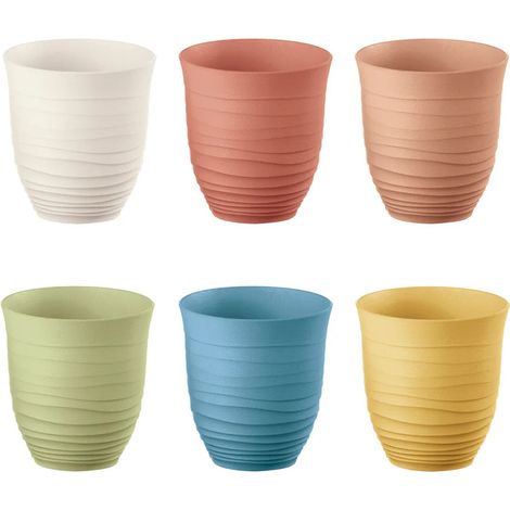 Lot de 6 gobelets bas Tierra (1/3)