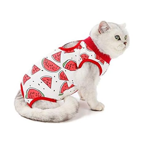 Combinaison de récupération pour chat après chirurgie (XL, pastèque) (1/4)
