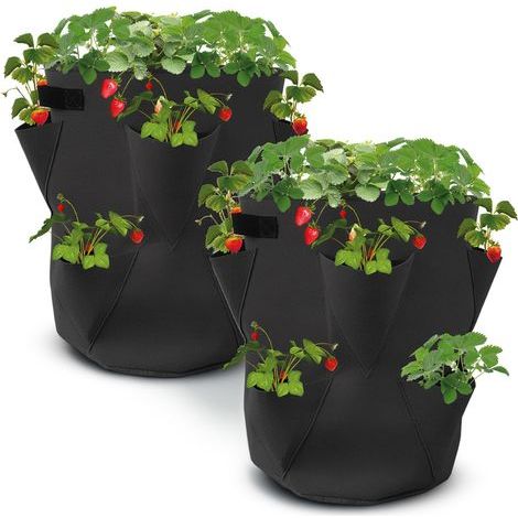 Lot de 2 Sacs de Plantation de Fraises en Feutre - 45 x 35 cm - Sac de Plantation pour Fraises et Petits légumes - Sac pour Jardins, balcons, Plantes, Sacs pour Fraises, ail, oignons, Herbes (1/5)