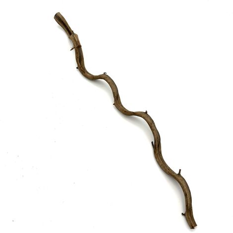 BioThai Liana 1-2 cm / 50 cm (1/5)