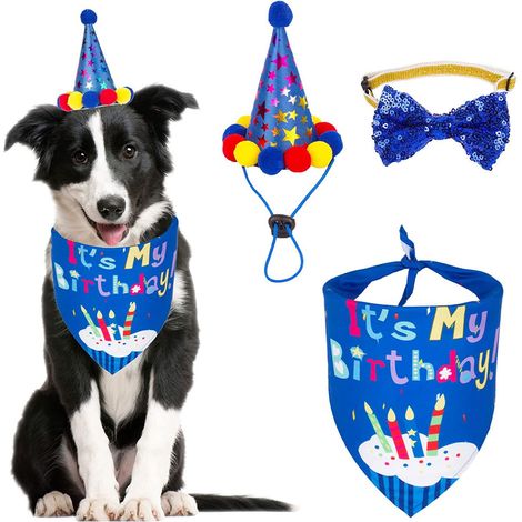 1 kit accessoire de fête pour chien, bandana carreaux, chapeau et nœud papillon, coton polyester, rose/bleu (1/5)