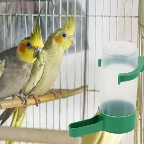 Lot de 10 mangeoires à eau pour oiseaux, distributeur d'eau automatique pour oiseaux, mangeoires et abreuvoirs à suspendre dans une cage pour perroquets, perruches, inséparables (1/5)