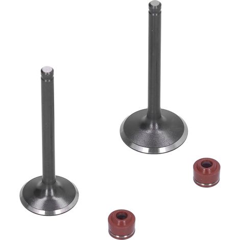 Joints d'étanchéité de soupapes d'admission et d'échappement pour culasse compatibles avec les moteurs YINXIANG YX 140cc, Pit Bike, Trail Bike, Dirt Bike, Thumpstar, Quad, ATV et Go Kart Dune. (1/5)