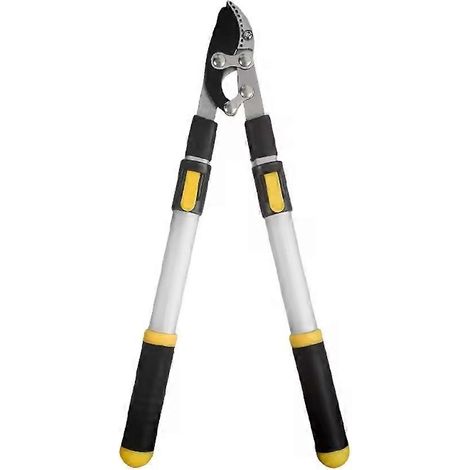 Sécateur à long manche extensible en acier pour arbres fruitiers (1/4)