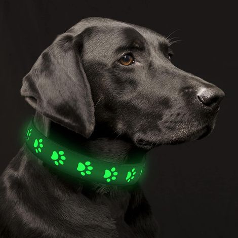 Filiyano-Collier lumineux pour chien, collier LED rechargeable avec batterie longue durée - Cuir PVC clignotant (1/4)