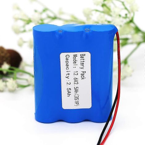 Batterie FTJLDC 12 V 2,5 Ah 3S1P 12,6 V/11,1 V 2500 mAh au lithium avec BMS 5 A, compatible avec les systèmes d'alimentation de secours, caméras de vidéosurveillance, etc. (1/5)