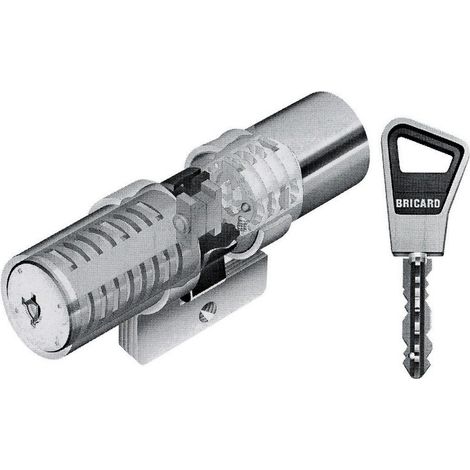 Cylindre monobloc SUPER-SURETE double entrée à bille 39,5x39,5mm - BRICARD - 811900 (1/5)