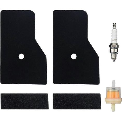 Kit de filtre extérieur 17211-Z07-000 et 17218-Z07-000 compatible avec Honda EU2000 EB2000 EB2000i, EB2000iT1, EU2000i et EU2000iT1 (1/5)