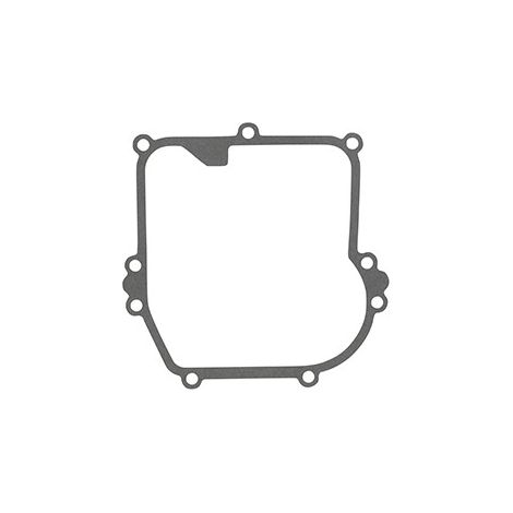 Joint De Carter Inférieur Briggs & Stratton Pour Moteurs Modèle 08p502. Origine: 799587.