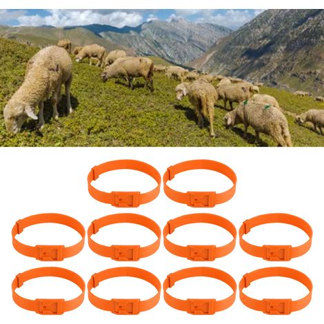 Collar de identificación de PU de 59 cm (23 pulgadas) para animales de granja - paquete de 10 collares naranjas ajustables para vacas, cabras, ovejas y caballos. (1/5)
