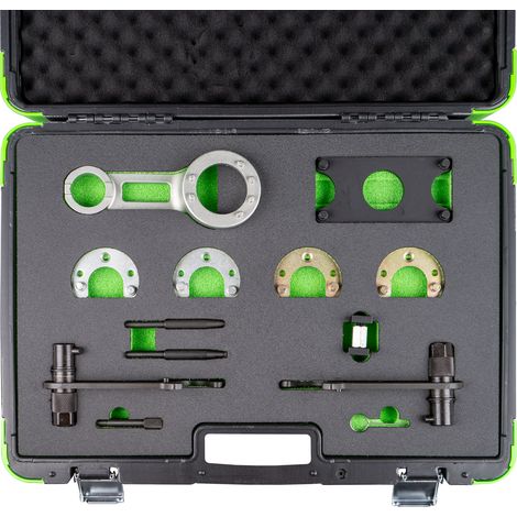 JBM54425 Kit de calado Land Rover Freelander V6/Rover KV6 2.0 L/2.5 L