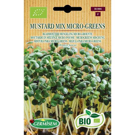 Bio Mustard Mix Micro-Greens Graines 10 g Multicolore