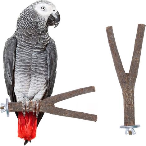 Support pour perroquet, perchoir pour oiseau, bâtonnet en bois, accessoires pour cage à griffes rongeuses KLB