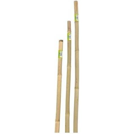 CANNA IN BAMBOO D 22-24MMXH180CM