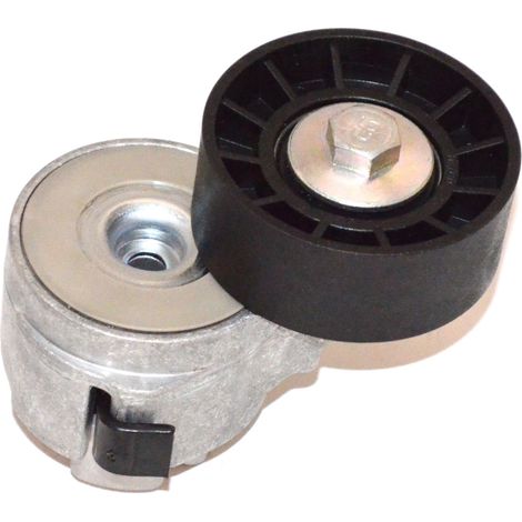 Tensor de correa micro-V Dayco DY APV1075 (1/4)