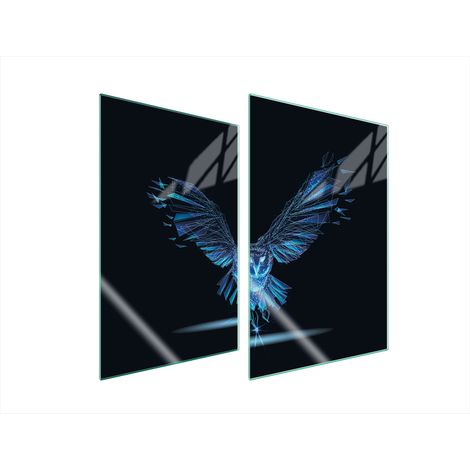 PIASTRA PROTETTIVA IN VETRO PER CUCINA 2x35x52 BIRD (1/5)