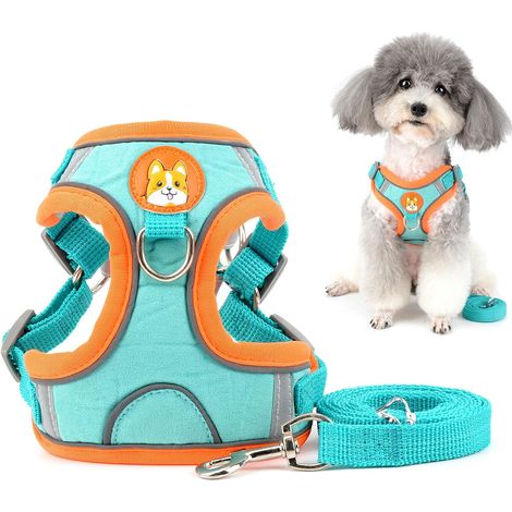 Ensemble Harnais et Laisse pour Petit Chien Anti Traction Réglable Réfléchissant Chiot Harnais Veste en Daim Souple Anti-Fuite Chat Harnais pour la Promenade pour Chihuahua Yorkshire Bleu S