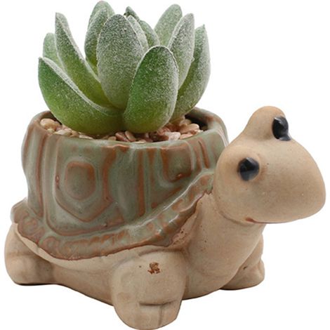 Pot À Plantes En Céramique - Forme De Tortue - Avec Trou D Évacuation - Pour Succulentes Et Cactus - Intérieur Extérieur - 1 Pièce (1/5)