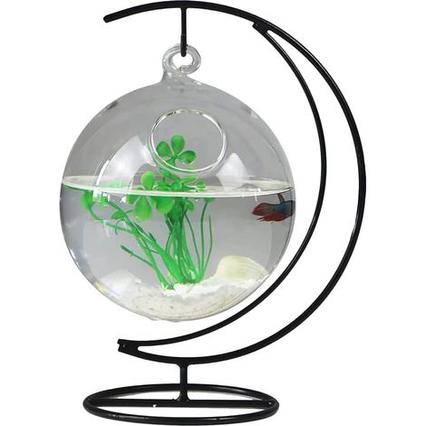1 Aquarium suspendu, Verre transparent, Support en fer, Bol rond pour bureau, Décoration maison