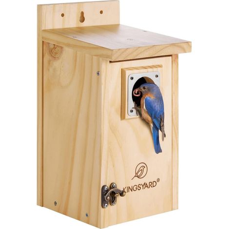 Holz-Vogelhaus mit Raubtierschutz für Blaukehlchen, Meisen & nistende Vögel