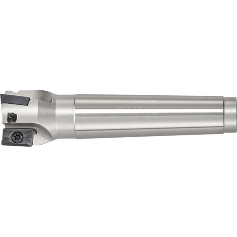 Fresa a inserto Fervi f301/32 (1/5)