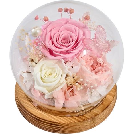 Rose Préserver - Dôme En Verre Avec Lumière Led - Cadeau D'anniversaire Pour Femme - 1 Pièce (1/5)
