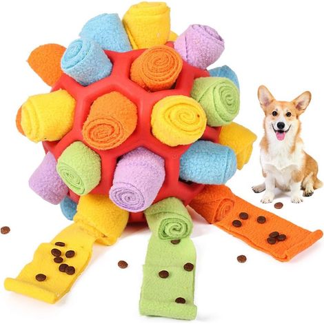 Balle à renifler pour Chiens, Jouet à renifler, entraînement à la Nourriture Lente, Jeu de Chiot résistant aux morsures, Jouet Intelligent, Balle de Nourriture, entraînement à l'odeur pour chi (1/5)