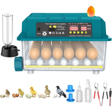 Couveuse à œufs automatique 10‑36 œufs, retournement et humidification automatiques, mire‑œufs intégré, incubateur pour poule canard oie caille pigeon (1/5)