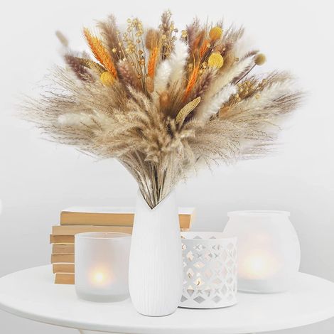 100pcs Pampa Séchée Naturelle Décoration Fleur Séché Bouquet Séché d'herbe de Pampa Boho Arrangement Mariage Chambre Anniversaire (1/4)
