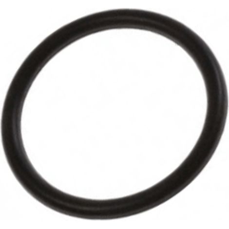 Ersatzteil - Original-O-Ring -  - WHIRLPOOL, LADEN, IGNIS, BAUKNECHT