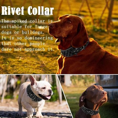 Collare per cani, collare borchiato, collare in pelle con borchie, collare per cani con fibbia di sicurezza, collare per bulldog francese, collare per cani di taglia grande, regolabile (nero) (1/4)