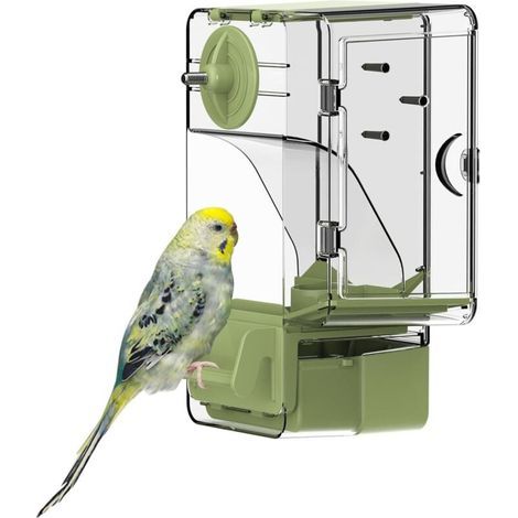 Mangiatoia automatica per uccelli, mangiatoia per gabbia con posatoio, supporto multifunzionale per frutta e verdura per parrocchetti, canarini, calopsitte, fringuelli (verde) (1/5)